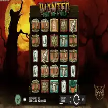 Wanted Dead or Wild démo